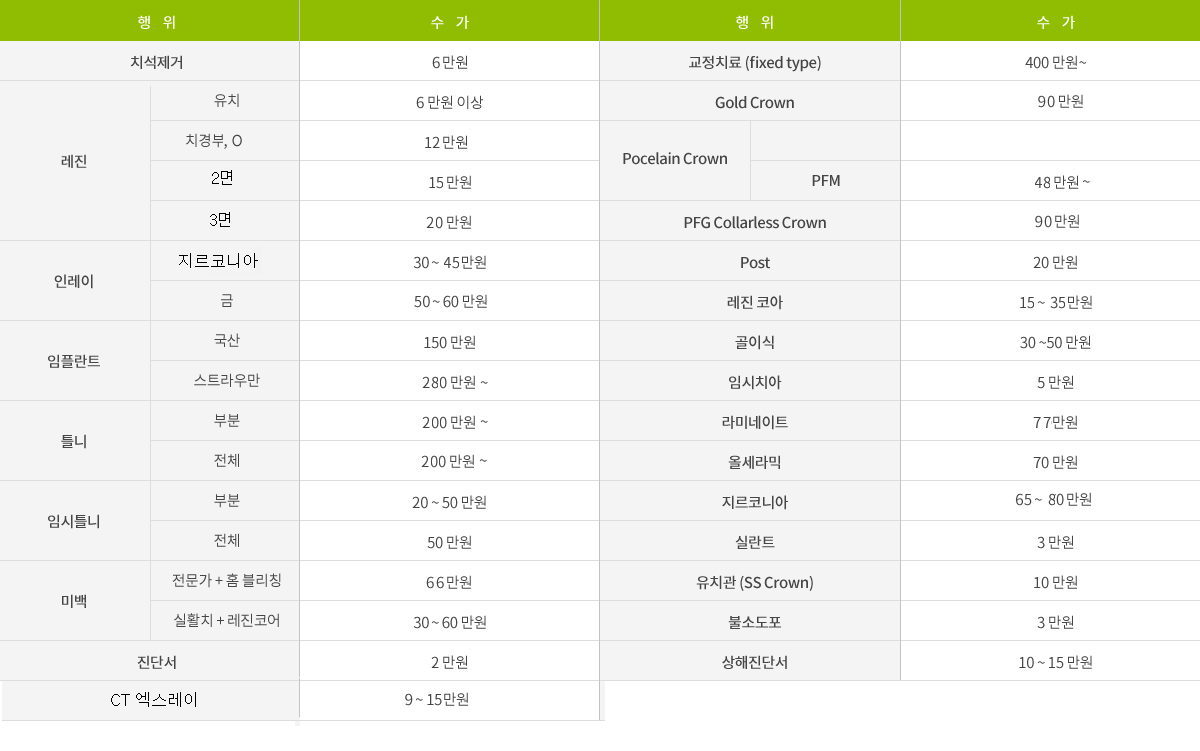 필치과 병원 비보험 분야 의료수가